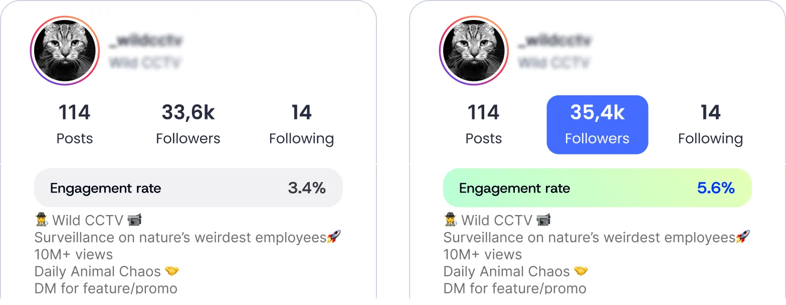 Pets profile preview